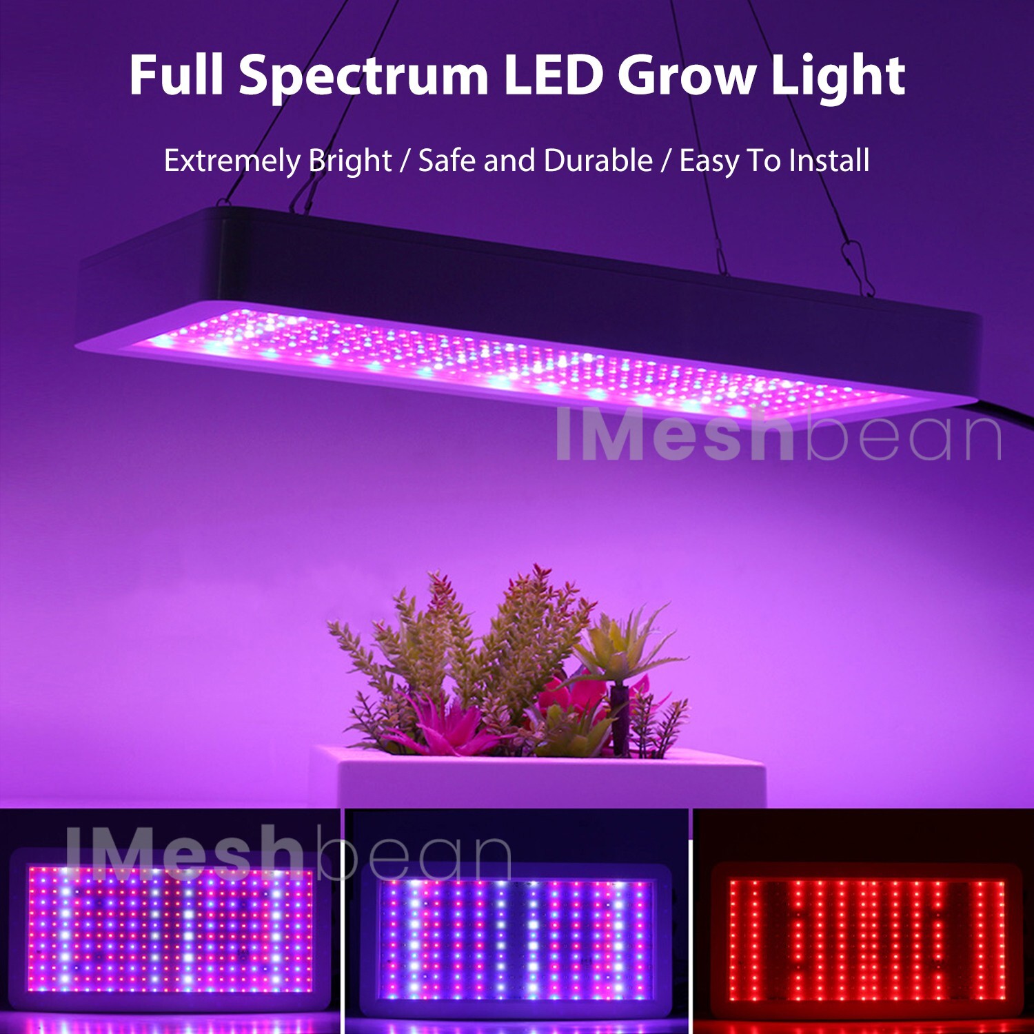 Growing Filter 40