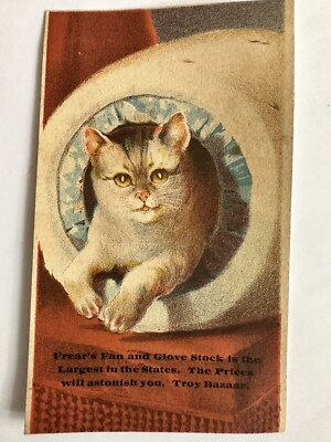 Victorian Trade Card Frear s Fans & Gloves, Troy Bazaar, golden-eyed cat B-1