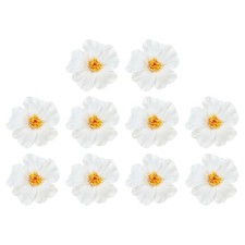 10Pack Hawaiian Hibiscus Flowers Foam Artificial Flowers Hair Clip White