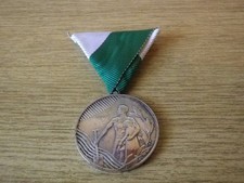 Hochwassermedaille Steiermark