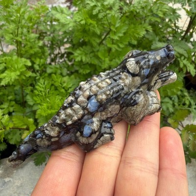 4'' Natural Blue mountain stone carved Crocodile quartz crystal reiki healing1pc