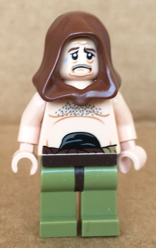 LEGO ® Star Wars Rancor & verschiedene Einzelteile aus dem Set 75005 Rancor Pit - Picture 52 of 67