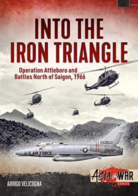 Into the Iron Triangle by Arrigo Velicogna (Paperback Book)