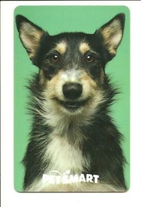 Petsmart Cute Puppy Dog Gift Card No $ Value Collectible | Ebay