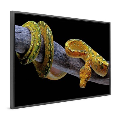 Wandbild Leinwand mit Rahmen , Goldene Schlange , Animal Tier ,Kunst Deko Hause