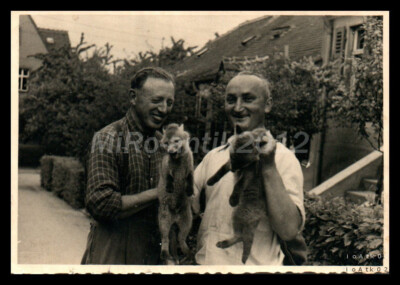 Photo, breed dog show Erzgeb., Teckel in training, hunting successes 5026-1229