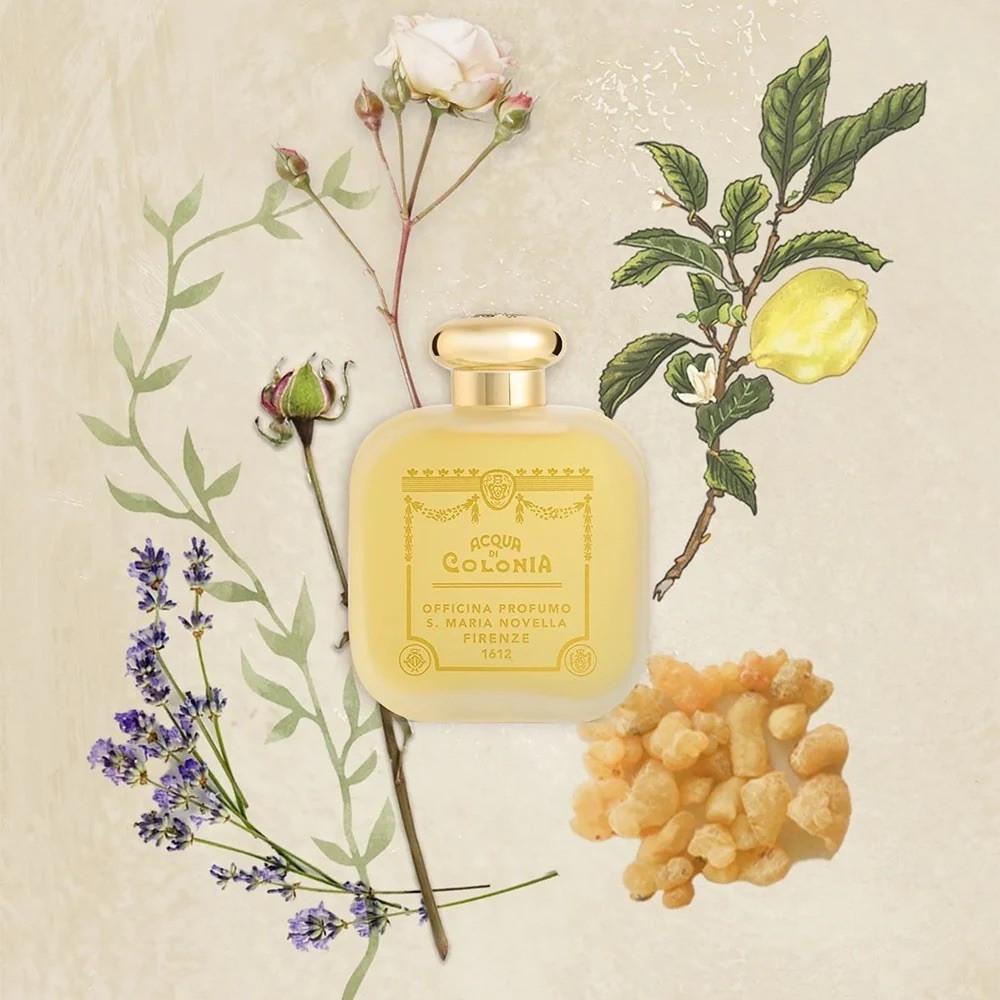 Santa Maria Novella OPOPONAX 100mL EDC *Discontinued Frosted Glass