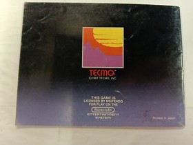 NES-Tecmo Rygar (Nintendo Entertainment System) SOLO MANUAL + BOLSA PROTECTORA 