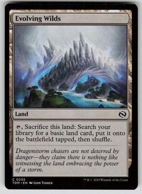Evolving Wilds Normal C Tarkir: Dragonstorm 255 NM