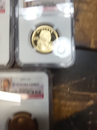 2001-2007 Sacagawea Dollars - Picture 5 of 13