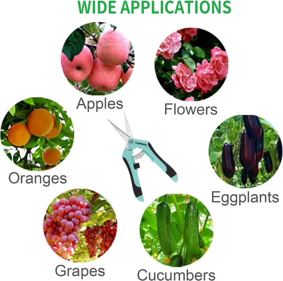 2 Pack- Bud Trimming Scissors STAINLESS Titanium Coated PRUNING TRIMMING HARVEST - Image 4 of 4