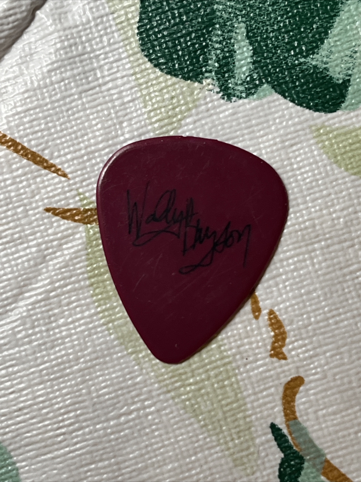 Raspberries Guitar Pick Wally Bryson 2005 NYC Reunion With Eric Carmen Not Cd Lp eBay