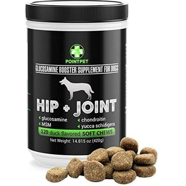 glucosamine chondroitin msm for dogs
