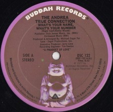 Andrea True Connection 12" 1977 Buddah DISCO TOM MOULTON Mix Gregg Diamond MINT
