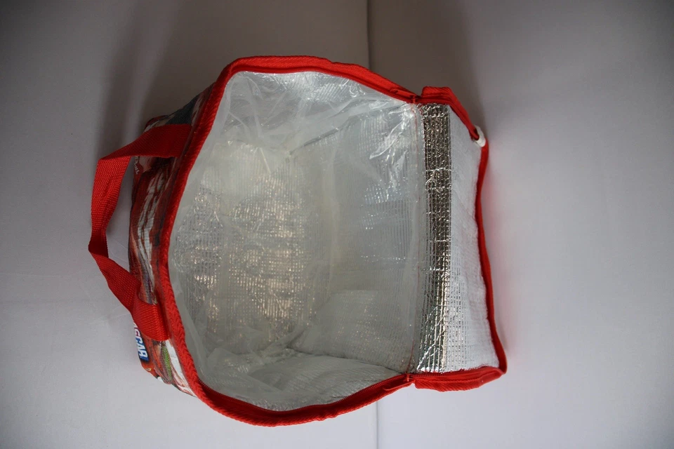 Dale Earnhardt Jr. 2005 Budweiser Cooler 24 latas isoladas bolsa lateral macia NASCAR - Imagem 4 de 4