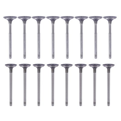 8x Einlassventil+ 8x Auslassventil 03C109469K für Audi A3  A1 VW Golf 1.4 1.6TSI