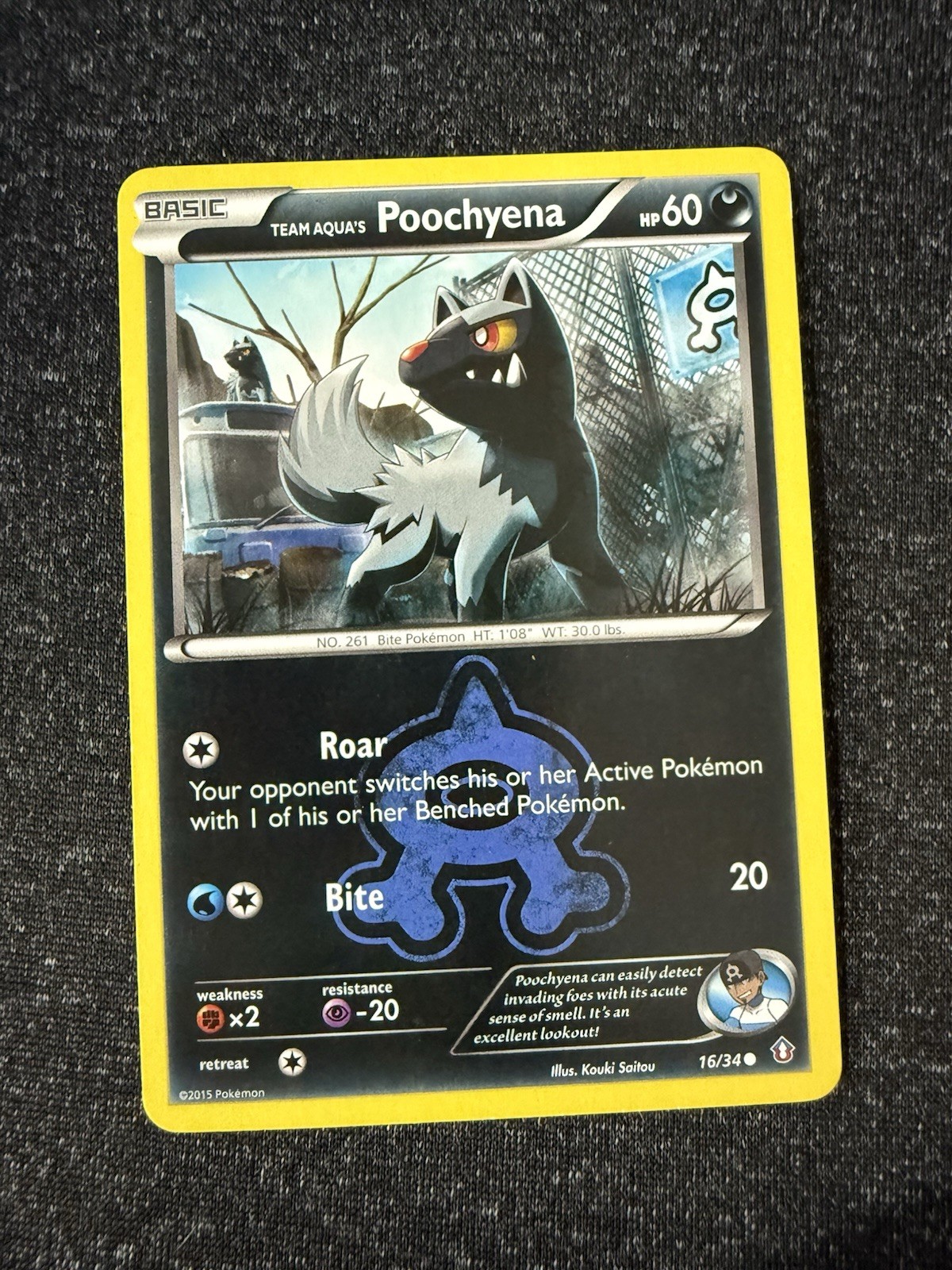 Team Aqua's Poochyena 16/34- Double Crisis- Regular Common- LP