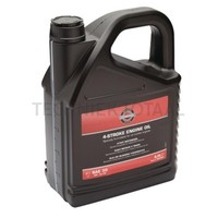 Briggs & Stratton MotoröL 4-Takt SAE 30 - 5,0 Liter - 100009E