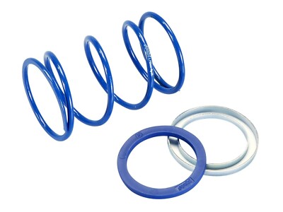 Aprilia SR50 Racing +8% Clutch Spring Polini Evo-Slider  2003-