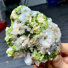 1.24LB Natural Garden quartz cluster specimen tourmaline mineral healing SiChuan