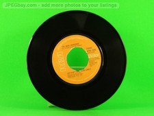 THE MAIN INGREDIENT JUST DON'T WANT TO BE LONELY (132) 2 Track 7" Single includi