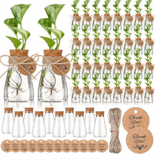 24 Pack 3.35'' Plastic Plant Propagation Stations with Hole Lid Planter Vase Cle