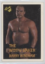 1989 Classic WWF Barry Windham #42 0q0m