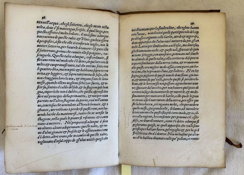 TRATTATO DI PIERO VETTORI DELLE LODI COLTIVAZIONE DE GL'ULIVI ULIVO OLIVO 1574 - Imagen 4 de 6