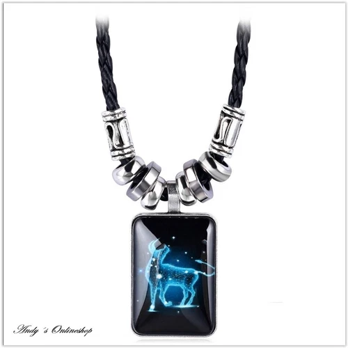 Sternzeichen Leder Halskette mit Anhänger Kette 12 Sternzeichen Geschenk Unisex - Bild 10 von 21
