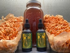 LIONS MANE / CORDYCEPS MUSHROOM DUAL EXTRACT TINCTURE USA GROWN AND CRAFTED 2oz