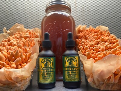 LIONS MANE / CORDYCEPS MUSHROOM DUAL EXTRACT TINCTURE USA GROWN AND CRAFTED 2oz