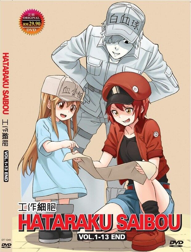 Hataraku Saibou (Cell at Work) DVD Vol. 1-13 End Anime