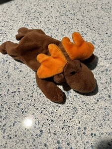 Ty Beanie, Chocolate the Moose,9”,1993