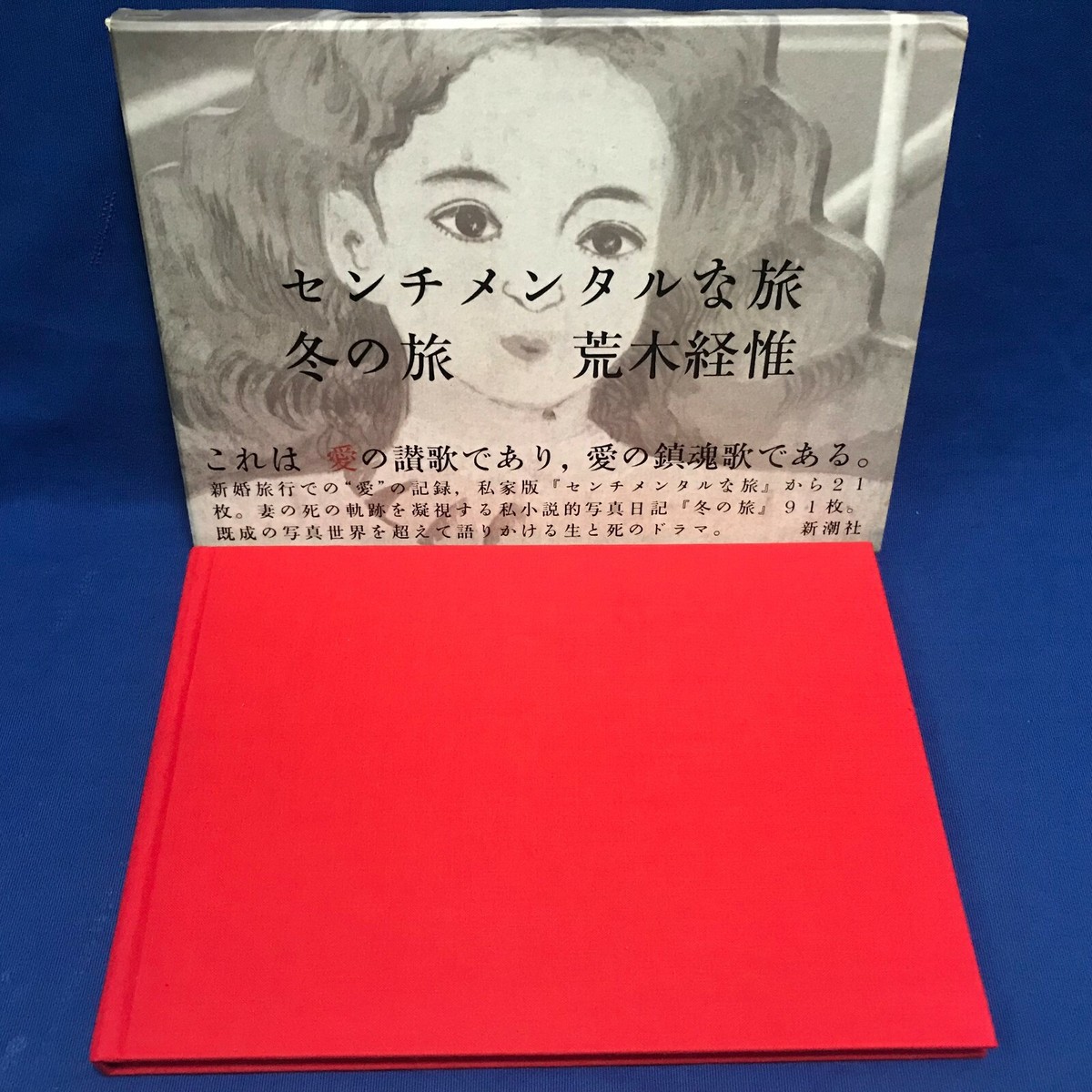 Sentimental Journey メモリアルボックス Sentimental Journey メモリアルボックス 91ghLOYKv5L.jpg_BO30