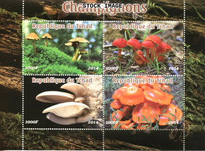 Chad MNH M/S 2014 Mushrooms [Colnect 2014-124]