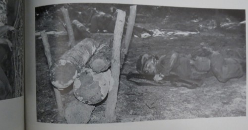 ROTC Basic Camp 1984 Fort Knox KENTUCKY Basic Training Yearbook US ARMY Military - Picture 8 of 10