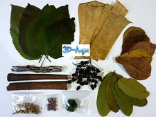 Shrimp Aquarium Kit, Cholla, Catappa, Mulberry, Guava, Banana Leaves food & more