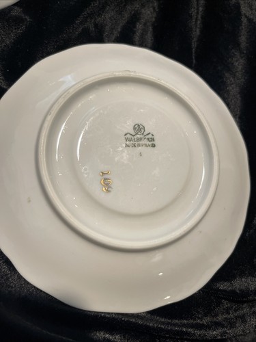 Walbrzych China Made In Poland #109 Cup & Saucer - Picture 5 of 9