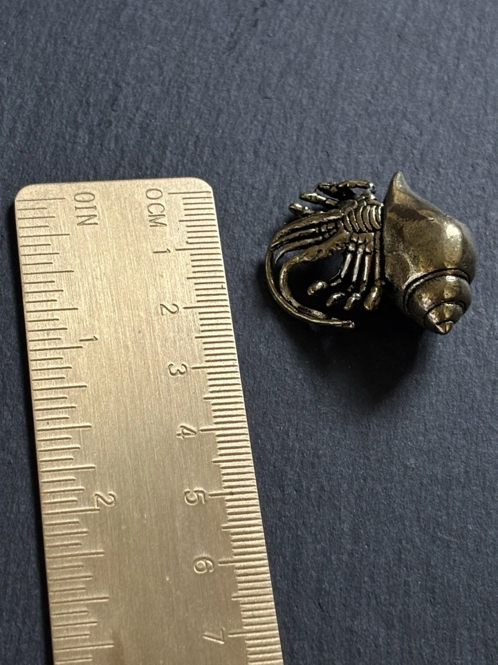 Einsiedlerkrebs Messing Massiv | Maritime Deko Figur | Tierfigur | Geschenkidee - Bild 2 von 2