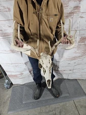 Wild 10 Point Whitetail Deer Antler Rack Horn Skull European Mount Man Cave 128"