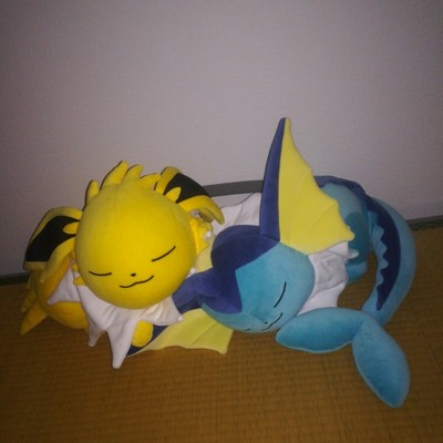 pokemon center sleeping vaporeon