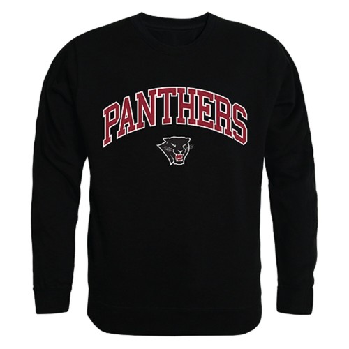 Florida Institute of Technology Panthers Basic Script Heavy Blend Hoodie - Black