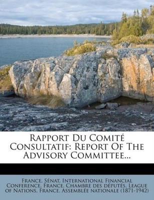 Snat - Rapport Du Comit Consultatif  Report Of The Advisory Committe - X555z