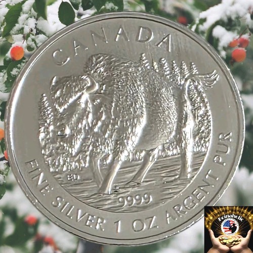 2013 Canadian 1 oz .9999 Silver Wood Bison, Wildlife Series, Pulled From Storage