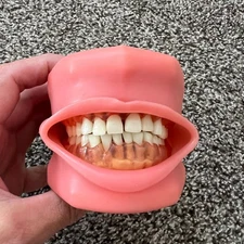 Dental Typodont, Nissin Dental Model P15DP-TR.56D.1(GSE)