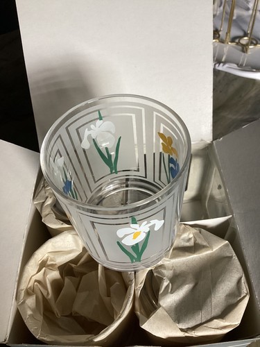 Spotter USA set di 4 bicchieri in plastica fioriti doppio vecchio stile nuovi con scatola  - Foto 1 di 6