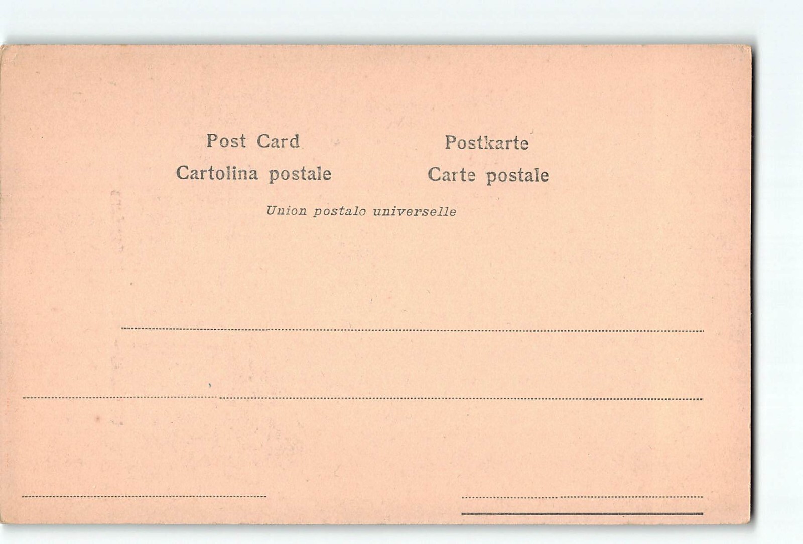 Foto 2 di 2