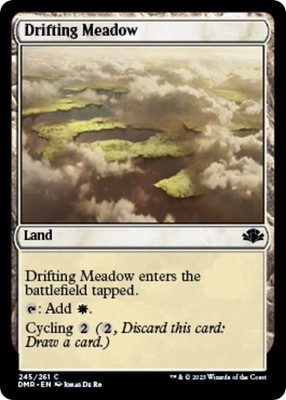Drifting Meadow DMR LP 245