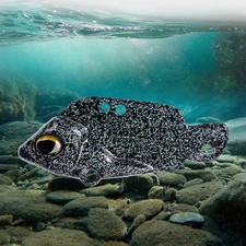 Per Esche Pesca Basso Esche Basso 6 Opzioni Colore Vibrante Facile da Usare