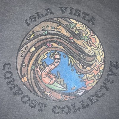 Rare Surfrider Foundation Isla Vista Cresting Wave Logo Shirt Small Gray Vintage